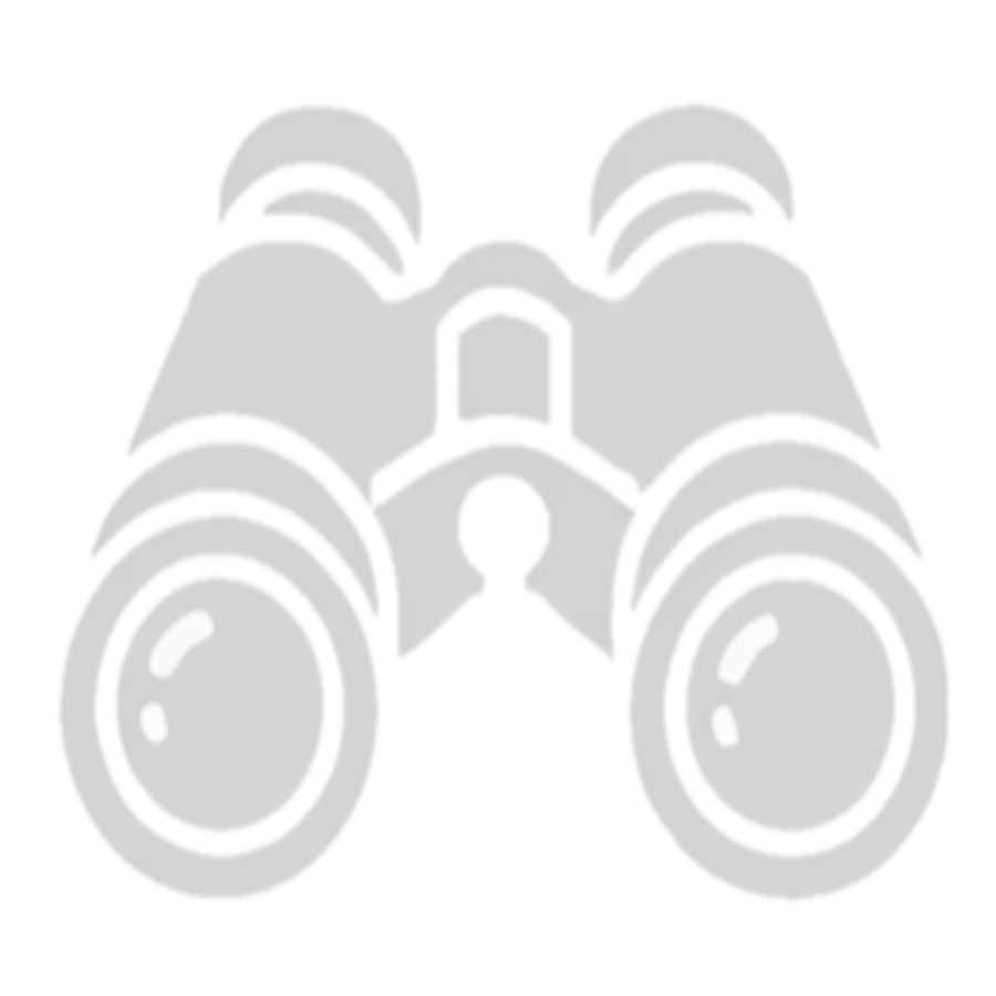 Vision Icon